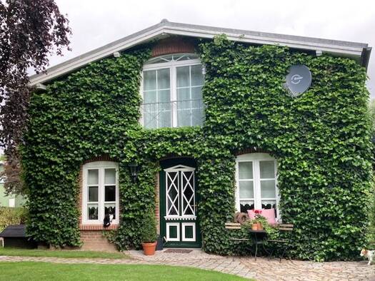 Terrassenwohnung zur Miete 1.100 € 4 Zimmer 120 m² Geschoss -1/2 frei ab 01.05.2026 Rabenkirchen-Faulück 24407