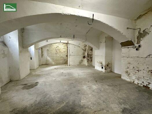 Lagerhalle zur Miete 250 € 48,7 m² Lagerfläche Sautergasse 28 Wien 1170