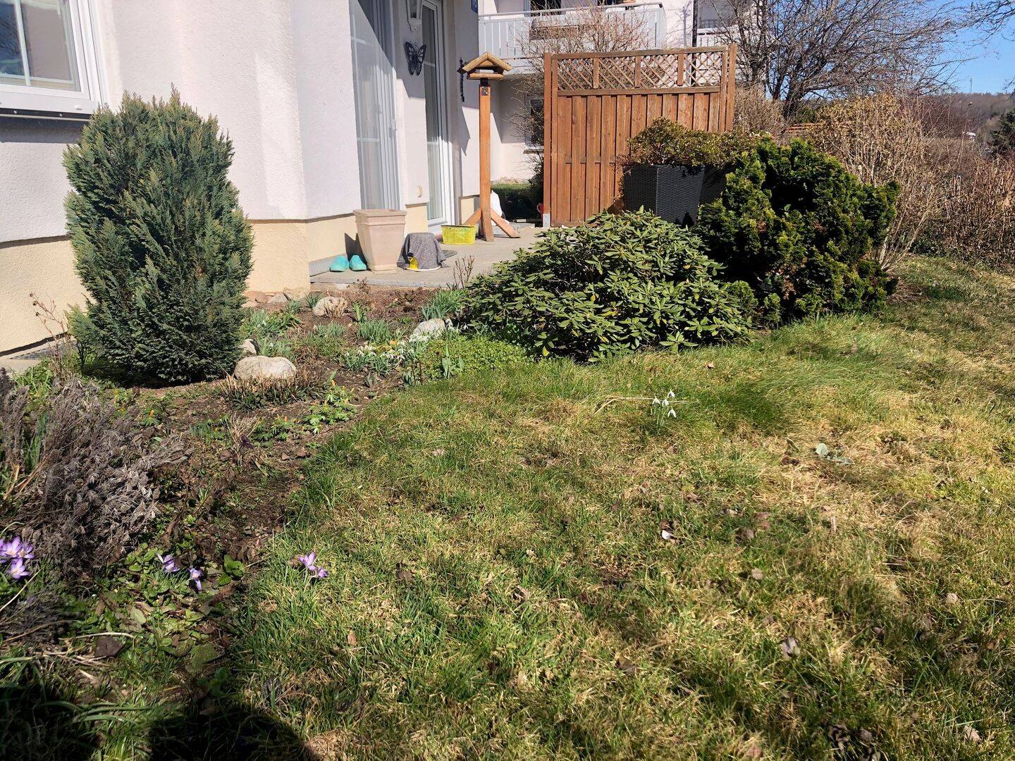 Immobilie in Klingenberg - Helle 3 Raumwohnung in 01774 Höckendorf mit Terrasse und PKW-Stellplatz - Bild 4