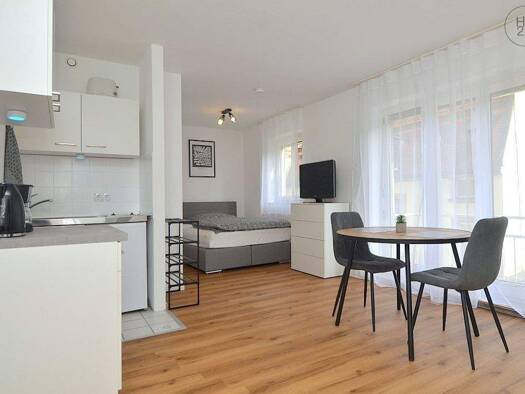 Wohnung zur Miete Wohnen auf Zeit 730 € 1 Zimmer 30 m² frei ab 02.01.2026 Gostenhof Nürnberg 90429