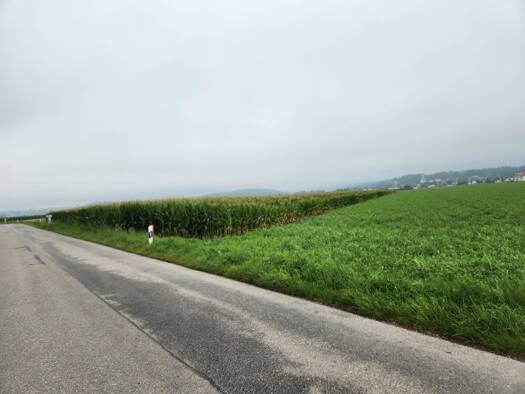 Land-/Forstwirtschaft zum Kauf 165.000 € 13.160 m² Grundstück Asch Fuchstal 86925