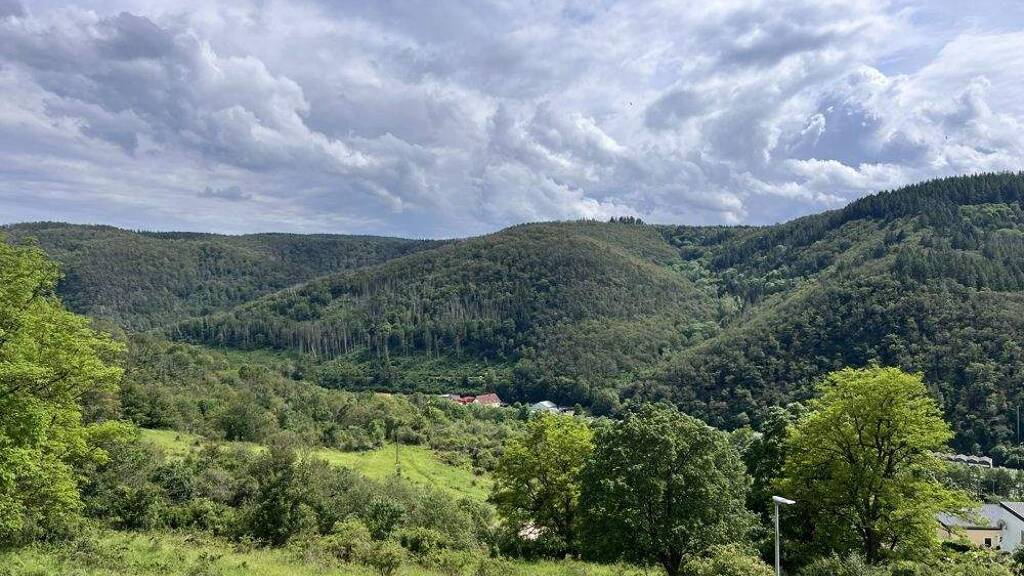 Wohnung zum Kauf 79.000 € 3 Zimmer 67 m² Lorch 65391