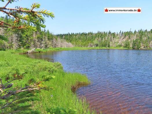 Grundstück zum Kauf 32.500 € 10.117 m² Grundstück Belfry Lake Road Lot 31 Gabarus Lake 128