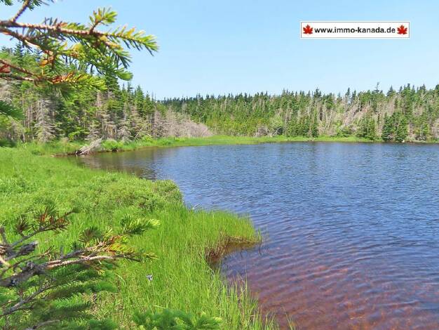 Grundstück zum Kauf 32.500 € 10.117 m² Grundstück Belfry Lake Road Lot 31 Gabarus Lake 128
