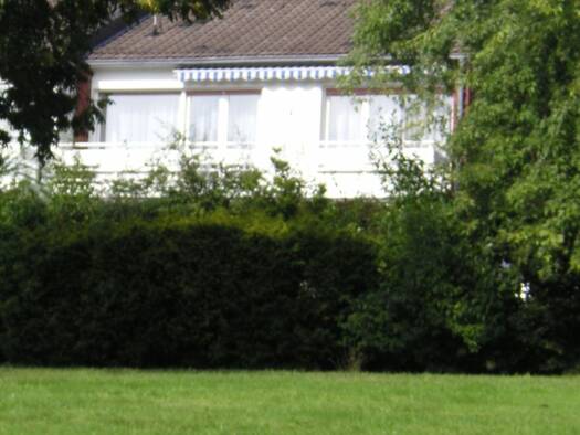 Doppelhaushälfte zur Miete 1.700 € 3 Zimmer 130 m² 300 m² Grundstück frei ab 01.01.2026 Huttrop Essen 45138