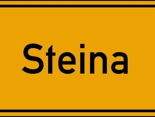 Grundstück zum Kauf 96.750 € 750 m² Grundstück Steina 01920