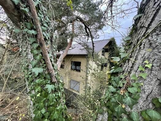 Mehrfamilienhaus zum Kauf 699.000 € 12 Zimmer 300 m² 2.100 m² Grundstück Veldenz 54472