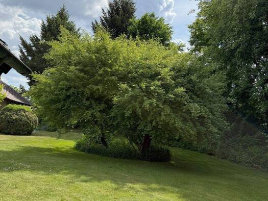 Grundstück zum Kauf 1.240.000 € 4.032 m² Grundstück Buchschwabach Roßtal 90574