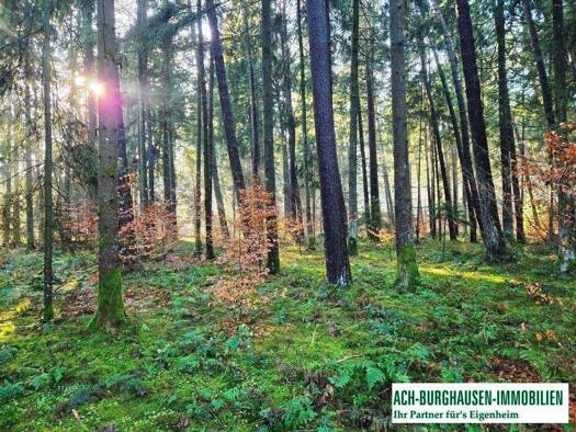 Land-/Forstwirtschaft zum Kauf 7.590 m² Grundstück Barsdorf Überackern 5122