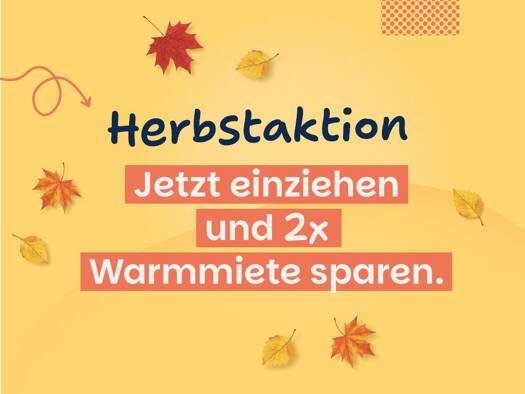 Wohnung zur Miete 228 € 1 Zimmer 24 m² Woldegker Straße 30 Katharinenviertel Neubrandenburg 17033