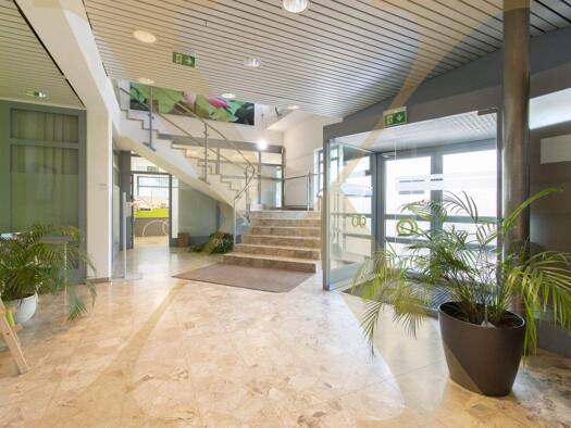 Büro zur Miete 4,90 € 220,3 m² Bürofläche Pasching 4061