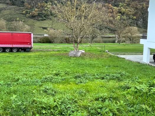 Grundstück zum Kauf provisionsfrei 120.000 € 1.000 m² Grundstück In den Hupen 1 Wolf Traben-Trarbach 56841