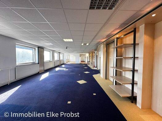 Bürogebäude zur Miete provisionsfrei 650 € 5 Zimmer 395 m² Bürofläche Schwandorferstr. 12 Schwarzhofen 92447