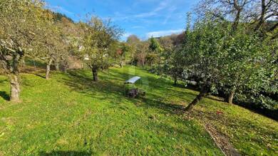 Grundstück zum Kauf 65.000 € 800 m² Grundstück Kreidach Wald-Michelbach 69483