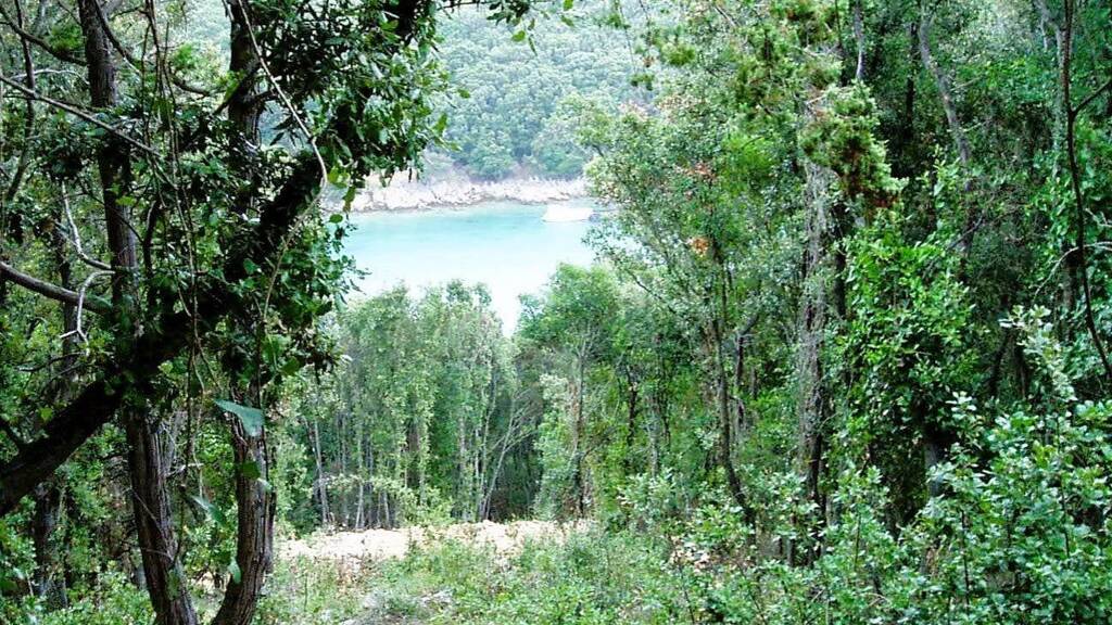 Land-/Forstwirtschaft zum Kauf 30.000 € Merag 51557