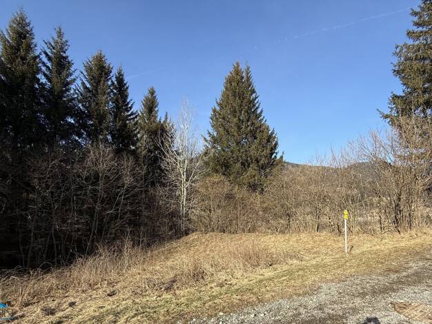 Grundstück zum Kauf 90.000 € 868 m² Grundstück Lupinenweg Spital am Semmering 8685