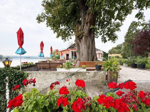 Hotel zum Kauf 895.000 € 13 Zimmer Persenbeug-Gottsdorf 3680