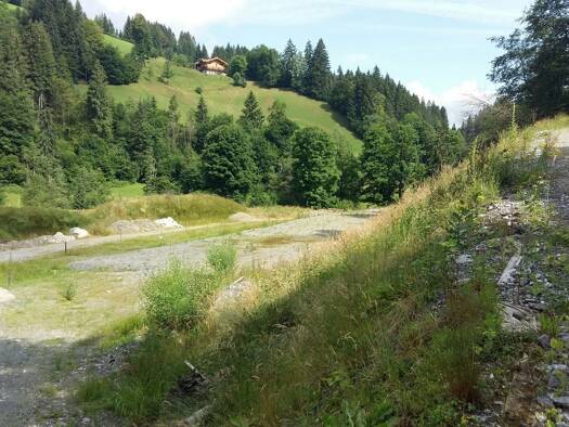 Grundstück zum Kauf 2.100.000 € 11.000 m² Grundstück Hopfgarten im Brixental 6361