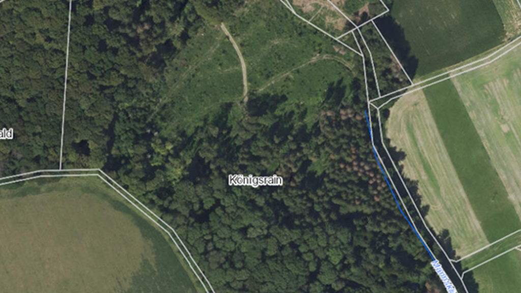 Land-/Forstwirtschaft zum Kauf 100.000 € 58.000 m² Bachenau Gundelsheim 74831