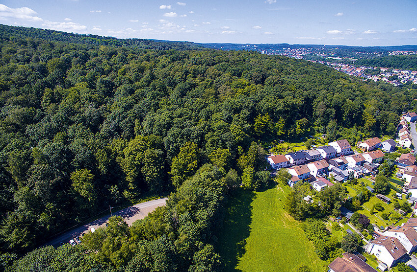 Grundstück zum Kauf 80.000 € 139.079 m²<br/>Grundstück Schnappacher Wald Sulzbach Sulzbach/Saar 66280