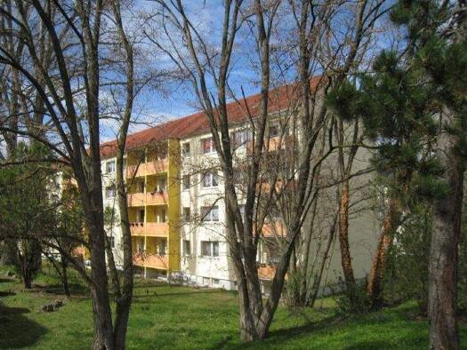 Wohnung zur Miete 420 € 3 Zimmer 58,5 m² 1. Geschoss frei ab sofort Zeitzer Straße 65 Weißenfels 06667