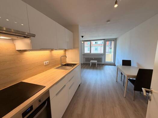 Wohnung zur Miete 500 € 1,5 Zimmer 39 m² Geschoss 4/6 frei ab sofort Lichtenhof Nürnberg 90475