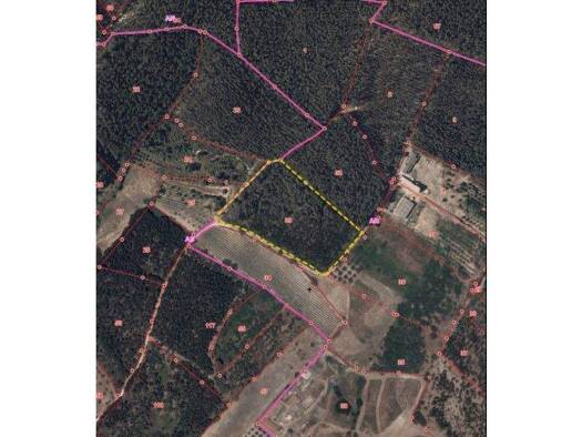 Grundstück zum Kauf 50.000 € 12.200 m² Grundstück Rio Maior