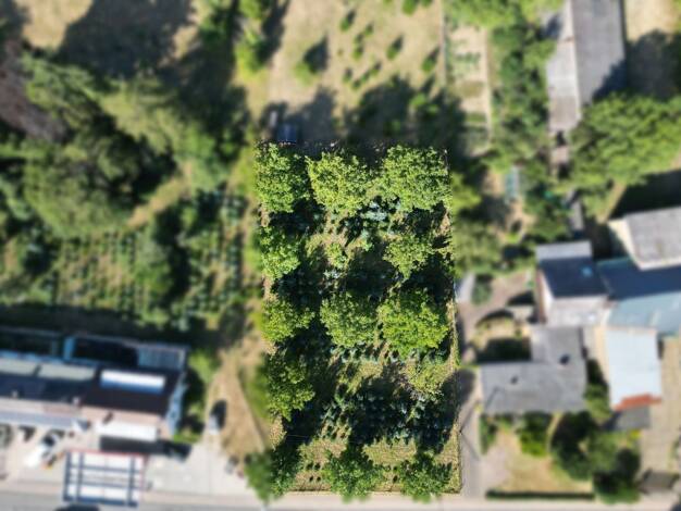 Grundstück zum Kauf 125.000 € 1.750 m² Grundstück Naunheim 56753