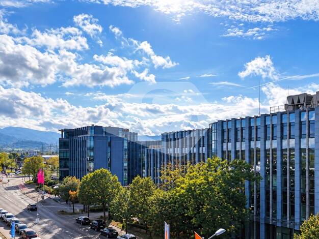 Verkaufsfläche zur Miete provisionsfrei 11.400 € 991,3 m² Verkaufsfläche St. Georgen Freiburg im Breisgau 79111