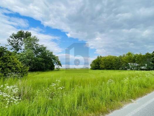 Grundstück zum Kauf 249.990 € 5.120 m² Grundstück Wesselburenerkoog 25764