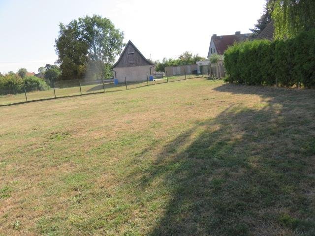 Grundstück zum Kauf 75.000 € 1.500 m²<br/>Grundstück Klostermansfeld 06308