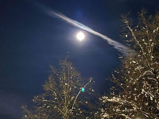 Stadthaus zum Kauf provisionsfrei 965.000 € 5,5 Zimmer 251 m² 581 m² Grundstück Vohburg 85088