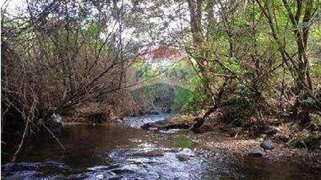 Büro zum Kauf 35.000.000 € Villarrica