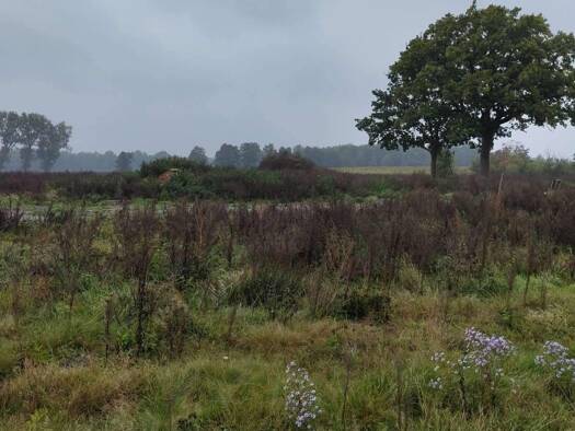 Grundstück zum Kauf 400.000 € 1.075 m² Grundstück Scharmbeck Winsen 21423