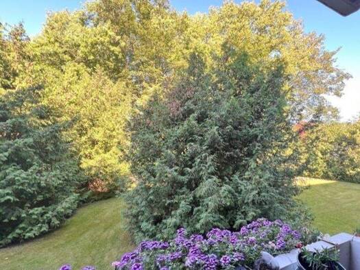 Wohnung zum Kauf 169.000 € 3 Zimmer 71 m² Lehesterdeich Bremen 28357