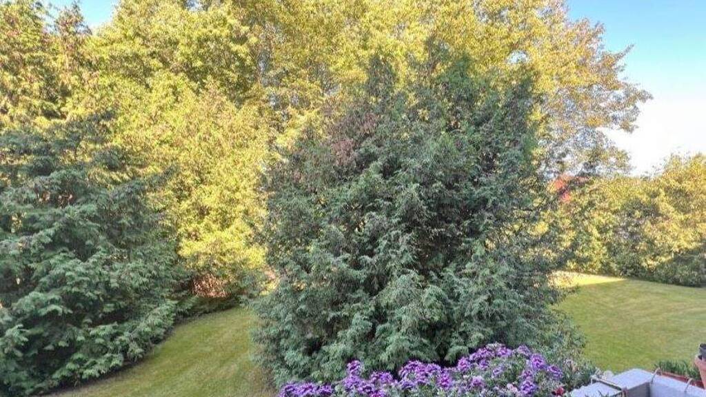 Wohnung zum Kauf 169.000 € 3 Zimmer 71 m² Lehesterdeich Bremen 28357