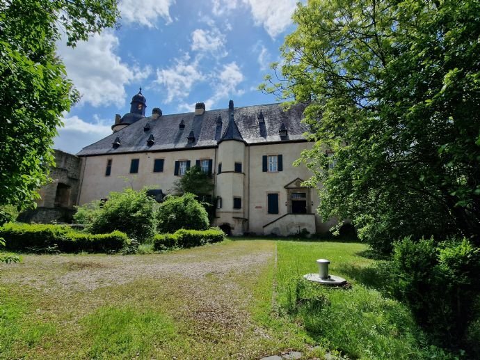 Schloss zum Kauf 1.150.000 € 1.200 m²<br/>Wohnfläche 14.981 m²<br/>Grundstück Burg Veynau Wißkirchen Euskirchen 53881