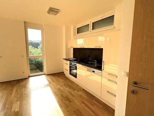 Wohnung zur Miete 601 € 1 Zimmer 37 m² frei ab 01.11.2026 Berggasse 3 - 5 Urfahr Linz 4040