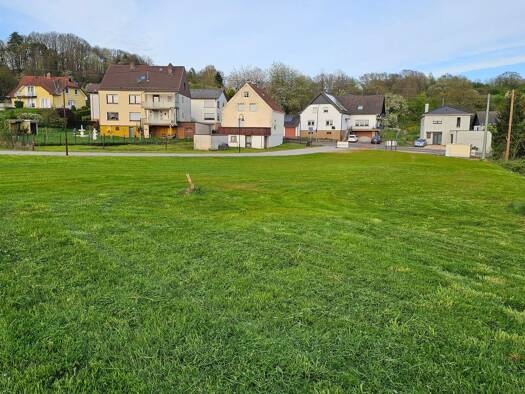 Gewerbegrundstück zum Kauf provisionsfrei 250.000 € 1.500 m² Grundstück Schlossstraße 71 Oberthal 66649