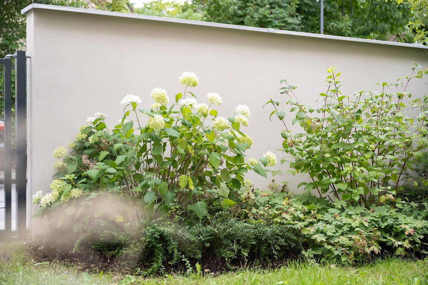 Property thumbnail 34