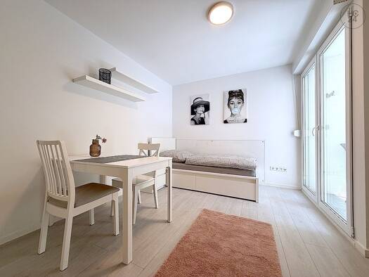 Studio zur Miete auf Zeit 730 € 1 Zimmer 22 m² frei ab 01.08.2026 Südstadt Fürth 90763