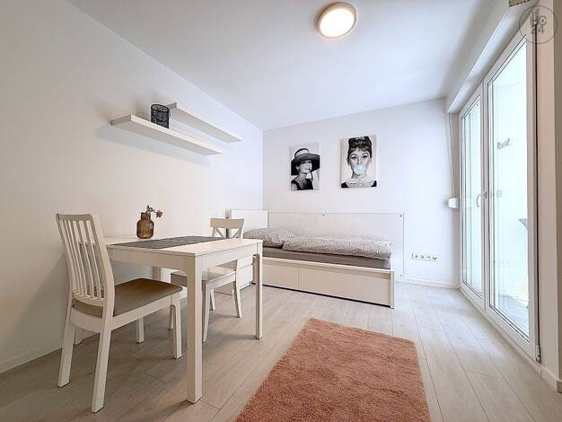 Wohnung zur Miete auf Zeit 730 € 1 Zimmer 22 m² frei ab sofort Südstadt Fürth 90763
