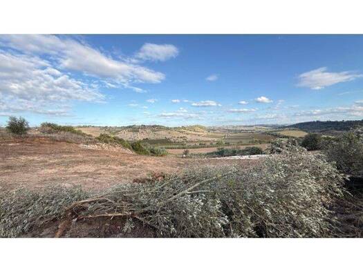 Grundstück zum Kauf 50.000 € 9.960 m² Grundstück Rio Maior