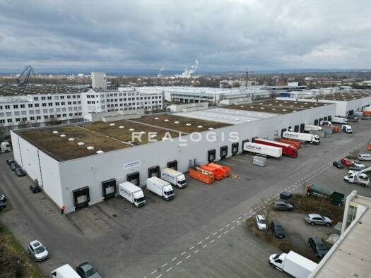 Halle/Industriefläche zur Miete provisionsfrei 7.500 m² Lagerfläche Ginsheim-Gustavsburg 65462