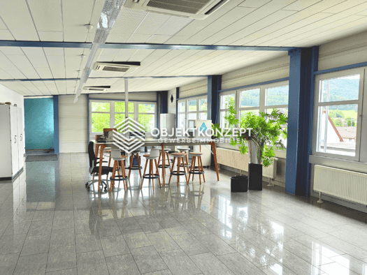 Büro zur Miete provisionsfrei 676 m² Bürofläche Wehingen 78564