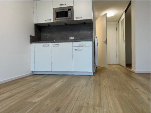 Studio zur Miete 342 € 1 Zimmer 25,3 m² 2. Geschoss frei ab 16.07.2026 Kopernikusstraße 7B Nordstadt Hannover 30167