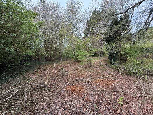 Grundstück zum Kauf 230.000 € 1.156 m² Grundstück Fischbach Kelkheim 65779