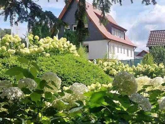 Einfamilienhaus zum Kauf 7 Zimmer 230 m² 29.300 m² Grundstück frei ab 01.03.2027 Uengsterode Großalmerode 37247