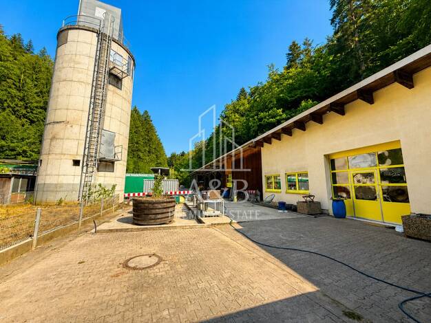 Bauernhof zum Kauf 595.000 € 11.000 m² Grundstück Frankenstein Frankenstein 67468