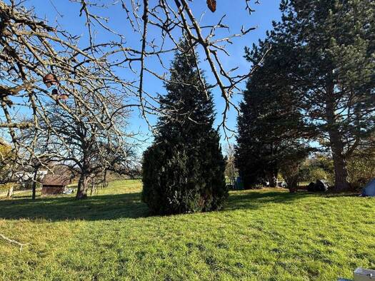 Mehrfamilienhaus zum Kauf 1.090.000 € 10 Zimmer 313,9 m² Neuhausen auf den Fildern 73765